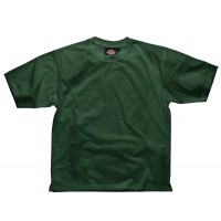 Shirt SH34225 grün