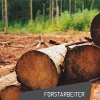 Forstarbeitsschutz