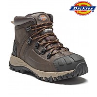 DICKIES Medway S3